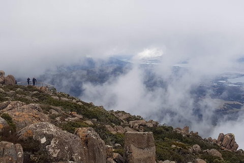 Mt. Wellington Morning Hike + Afternoon Beer & History Walk - Taree Accommodation 18