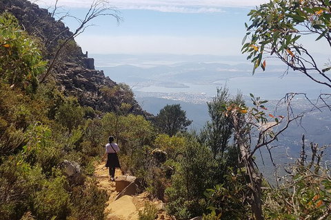 Mt. Wellington Morning Hike + Afternoon Beer & History Walk - Taree Accommodation 1
