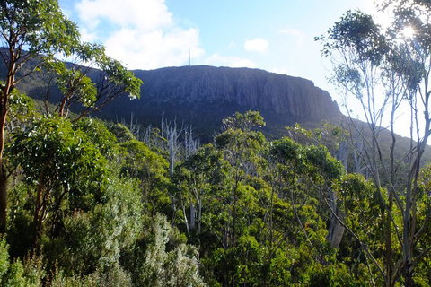 Mt. Wellington Morning Hike + Afternoon Beer & History Walk - Taree Accommodation 4