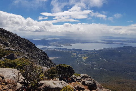 Mt. Wellington Morning Hike + Afternoon Beer & History Walk - Taree Accommodation 5