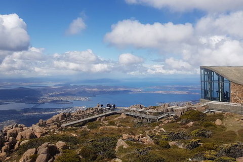 Mt. Wellington Morning Hike + Afternoon Beer & History Walk - Taree Accommodation 3