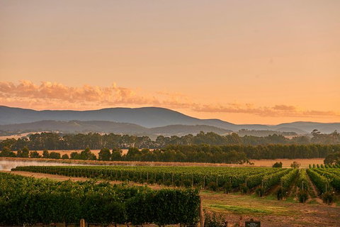 Yarra Valley Wine Masterclass - Up To 6 - Taree Accommodation 0