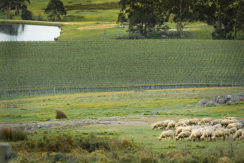 Fowles Wine: Heritage Farm Tour With Wine Tasting And Lunch - Taree Accommodation 0