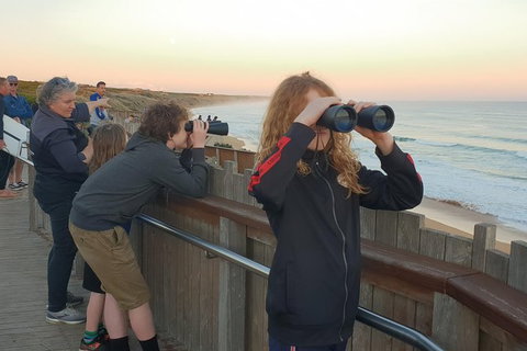 Warrnambool Wanderer Tour - Taree Accommodation 2