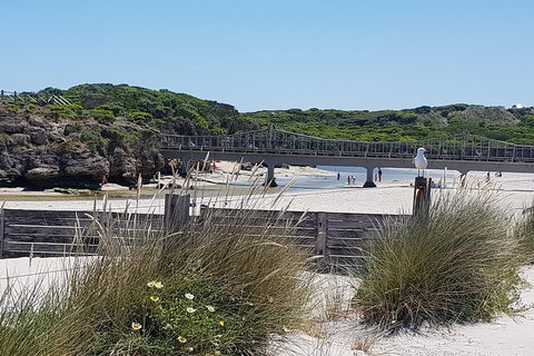 Warrnambool Wanderer Tour - Taree Accommodation 3
