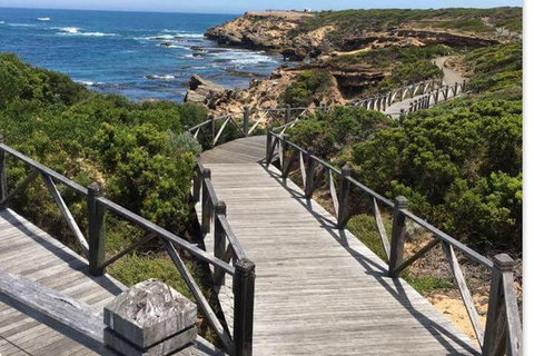 Warrnambool Wanderer Tour - Taree Accommodation 0