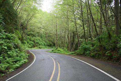 Cruise Ship Shore Excursion - Private Great Ocean Road Full Day Tour (12 Hour) - Taree Accommodation 1