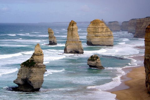 LGBT+ Friendly 2 Day Private Tour Great Ocean Road + Phillip Island - Taree Accommodation 0