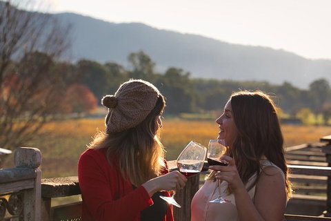 Feathertop Winery: Pedal And Picnic In The Vines - Taree Accommodation 4