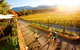 Feathertop Winery: Pedal And Picnic In The Vines - thumb 0