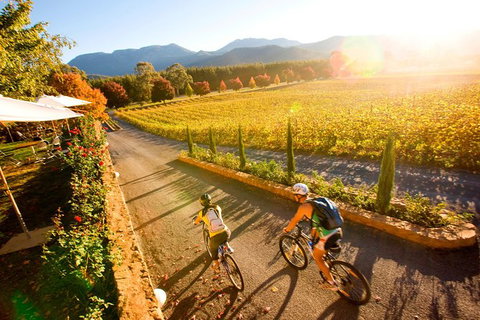 Feathertop Winery: Pedal And Picnic In The Vines - Taree Accommodation 0
