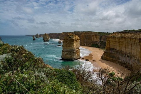 Full-Day Great Ocean Road And 12 Apostles Tour From Melbourne - Taree Accommodation 1