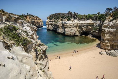 Full-Day Great Ocean Road And 12 Apostles Tour From Melbourne - Taree Accommodation 3