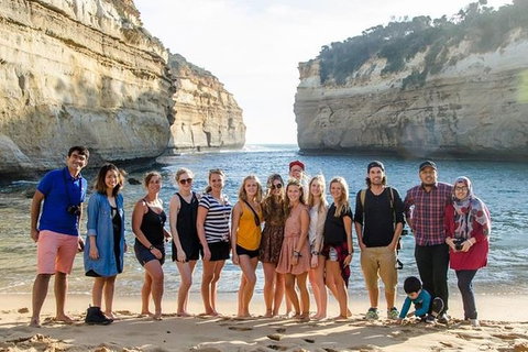 Full-Day Great Ocean Road And 12 Apostles Tour From Melbourne - Taree Accommodation 0
