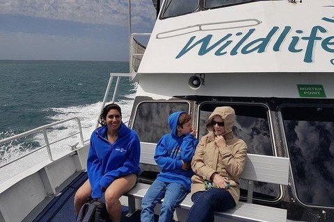 Phillip Island Penguin And Wildlife Tour - Taree Accommodation 15