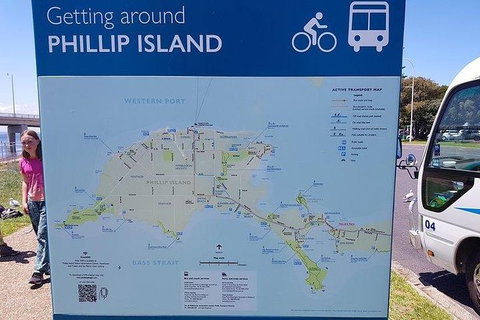Phillip Island Penguin And Wildlife Tour - Taree Accommodation 28