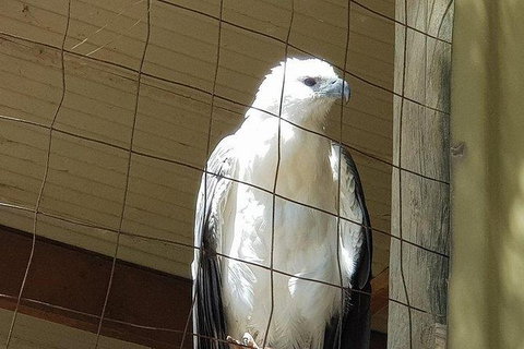 Phillip Island Penguin And Wildlife Tour - Taree Accommodation 21