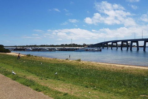 Phillip Island Penguin And Wildlife Tour - Taree Accommodation 24