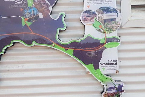 Phillip Island Penguin And Wildlife Tour - Taree Accommodation 29