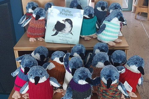 Phillip Island Penguin And Wildlife Tour - Taree Accommodation 27