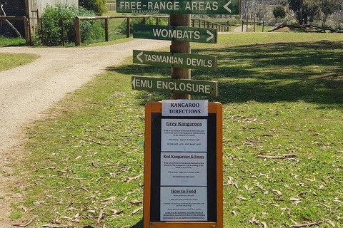 Phillip Island Penguin And Wildlife Tour - Taree Accommodation 4