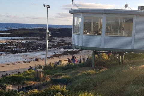 Phillip Island Penguin And Wildlife Tour - Taree Accommodation 33