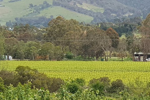 Day Tour Of Yarra Valley Puffing Billy And Rayners Orchard - Taree Accommodation 44