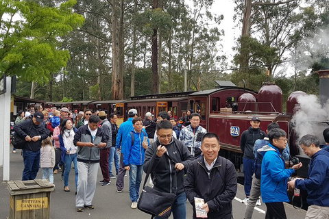 Day Tour Of Yarra Valley Puffing Billy And Rayners Orchard - Taree Accommodation 3