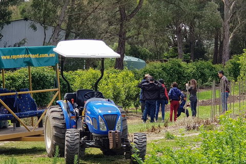 Day Tour Of Yarra Valley Puffing Billy And Rayners Orchard - Taree Accommodation 10