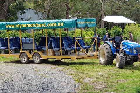 Day Tour Of Yarra Valley Puffing Billy And Rayners Orchard - Taree Accommodation 48