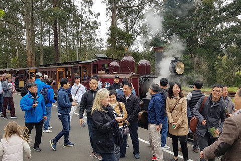 Day Tour Of Yarra Valley Puffing Billy And Rayners Orchard - Taree Accommodation 18