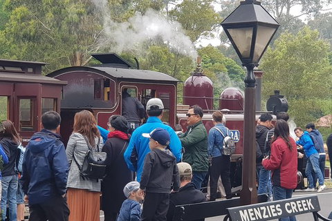 Day Tour Of Yarra Valley Puffing Billy And Rayners Orchard - Taree Accommodation 40