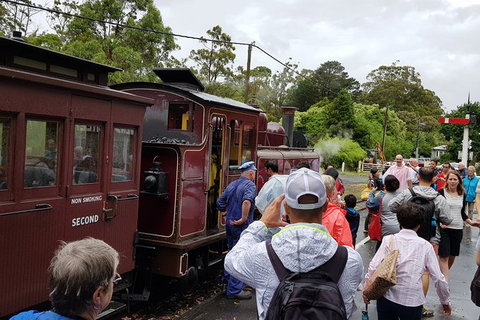 Day Tour Of Yarra Valley Puffing Billy And Rayners Orchard - Taree Accommodation 23