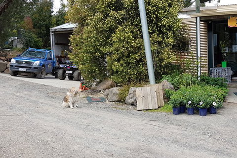 Day Tour Of Yarra Valley Puffing Billy And Rayners Orchard - Taree Accommodation 6