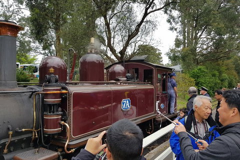 Day Tour Of Yarra Valley Puffing Billy And Rayners Orchard - Taree Accommodation 28