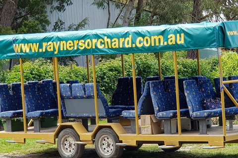 Day Tour Of Yarra Valley Puffing Billy And Rayners Orchard - Taree Accommodation 33