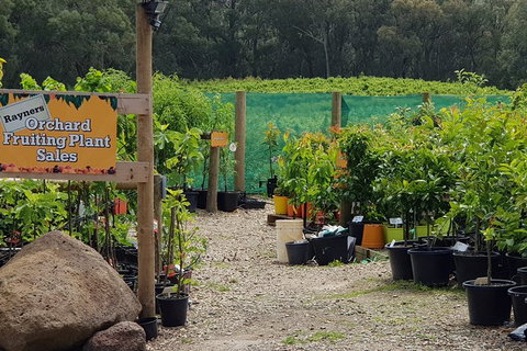 Day Tour Of Yarra Valley Puffing Billy And Rayners Orchard - Taree Accommodation 22