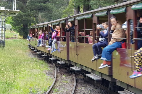 Day Tour Of Yarra Valley Puffing Billy And Rayners Orchard - Taree Accommodation 13
