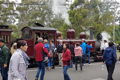 Day Tour Of Yarra Valley Puffing Billy And Rayners Orchard - Taree Accommodation 4
