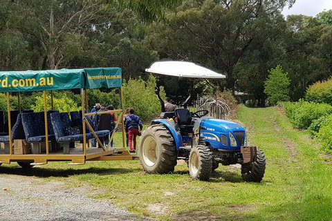 Day Tour Of Yarra Valley Puffing Billy And Rayners Orchard - Taree Accommodation 25