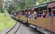 Day Tour Of Yarra Valley Puffing Billy And Rayners Orchard - thumb 24