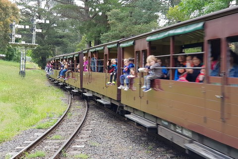 Day Tour Of Yarra Valley Puffing Billy And Rayners Orchard - Taree Accommodation 24