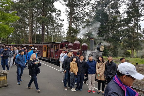 Day Tour Of Yarra Valley Puffing Billy And Rayners Orchard - Taree Accommodation 9