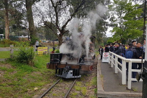 Day Tour Of Yarra Valley Puffing Billy And Rayners Orchard - Taree Accommodation 43