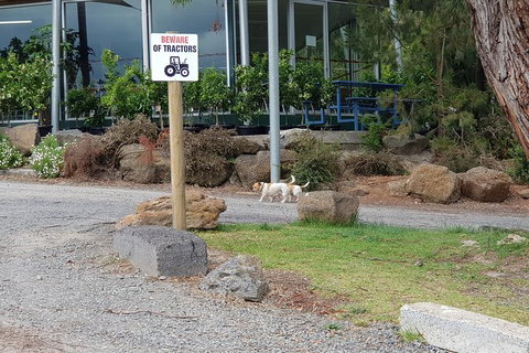 Day Tour Of Yarra Valley Puffing Billy And Rayners Orchard - Taree Accommodation 2