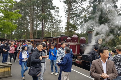 Day Tour Of Yarra Valley Puffing Billy And Rayners Orchard - Taree Accommodation 12