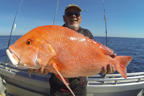Full Day Fishing Charter - Taree Accommodation 3