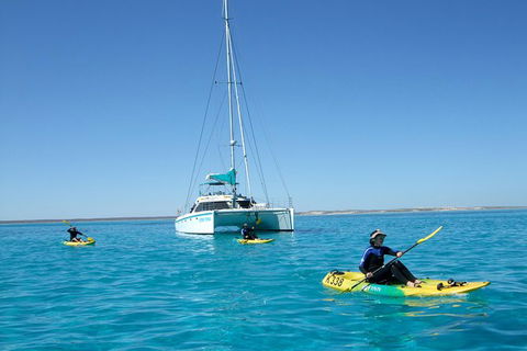 5 Night Ningaloo Reef Ningaloo Escape From Coral Bay - Taree Accommodation 0
