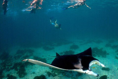 5 Night Ningaloo Reef Ningaloo Escape From Coral Bay - Taree Accommodation 1