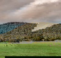 Baldwins Bluff Guided Hike - Taree Accommodation